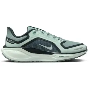 Chaussures de running femme Nike Pegasus 41 Gore-Tex Bleu 36,5 pas cher