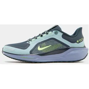 Comparateur de prix : Nike Pegasus 41 GORE-TEX Homme - Cannon, Cannon 46