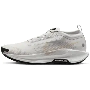 Nike Pegasus Trail 5 GORE-TEX Homme - Grey, Grey 44Vendu paramazon