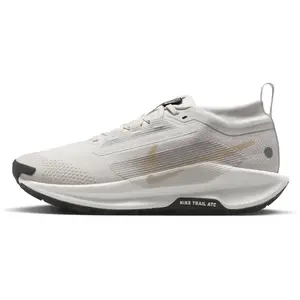 Nike Pegasus Trail 5 Gore-Tex https://tqm.i-run.be/?P4790B5819DB223S1UC413a49040087V4 Gris/argent 40 pas cher