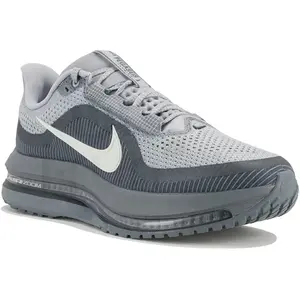 Comparateur de prix : Nike Pegasus Premium - Gris, Gris 45