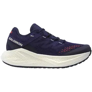 Salomon Aero Glide 3 GRVL https://tqm.i-run.be/?P4790B5819DB223S1UD413a490132226V4 Violet 38 pas cher