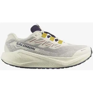Salomon Chaussures De Running Aero Blaze 3 Grvl Goretex pas cher