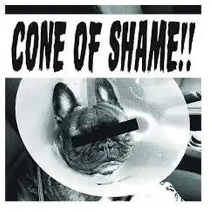 PIAS-RECLAMATION Faith No More - Cone Of Shame (7" Vinyl Single) (Coloured Vinyl) (Limited Edition)Vendu paramazon