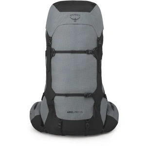 Osprey Ariel Pro 75 Backpack Dames Silver Lining WM/L