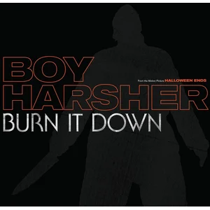 Sacred Bones Records Boy Harsher - Burn It Down (12" Vinyl Single) pas cher