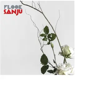 Cadiz Music Sanju pas cher