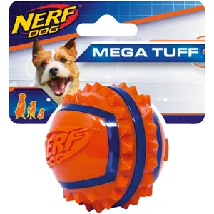 Nerf Dog Exoterra Plage Mobile Turtle Bank avec Aimants pour Reptiles et Amphibiens Petit Modèle 17x12x3 cm pas cher