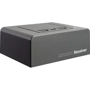 Transmetteurs audio-vidéo SVS Soundpath Multi-Band Wireless Receiver pas cher