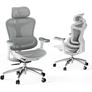 Sihoo, Chaise de bureau, C300 GRY-WHI pas cher