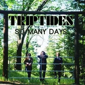 Curation The Triptides - So Many Days [Vinyl] pas cher