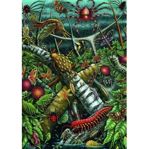 Art & Fable Orb WEavers (1000) pcs pas cher