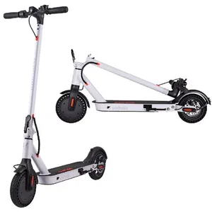 Street Surfing Trottinette électrique Voltaik Mgt 350w
