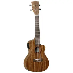 Tanglewood Tiare TWT12E concert ukulele met pickup pas cher