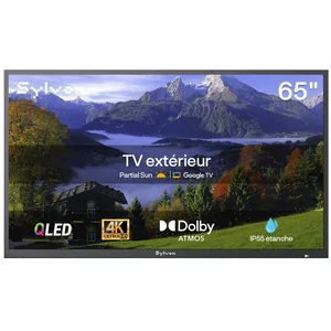Télévision QLED - SYLVOX Deckpro2.0 - 65 (165 cm) - 4K UHD - IP55 pas cher