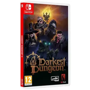 Nintendo Games Switch Darkest Dungeon Ii pas cher