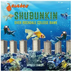 OZIT DANDELION Shubunkin Over Rochdale College Bank pas cher