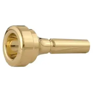 Denis Wick Cornet mondstuk DW4881 S