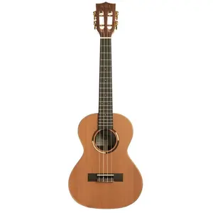 Comparateur de prix : Kala KA-ASCP-T All Solid Cedar Pau Ferro tenor ukelele met koffer