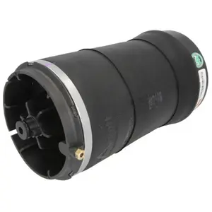 Arnott Luchtvering chassis pas cher
