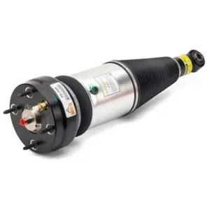 Veerpoot luchtvering AS2889 ArnottVendu parwinparts