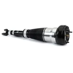 Pneumatische veerpoot AS3163 Arnott pas cher