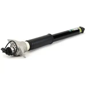 Arnott Europe Amortisseur pour AUDI: S7, A6, S6, A7 (Ref: SKE-3822)