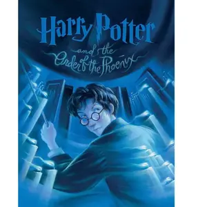 New York Puzzle Company - Harry Potter Order of the Phoenix - 1000 stu... pas cher