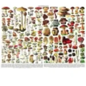 New York Puzzle Company Mushrooms - Champignons York-Puzzle-PD638