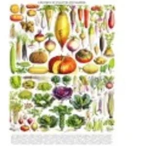 New York Puzzle Company Vegetables - Légumes York-Puzzle-PD635