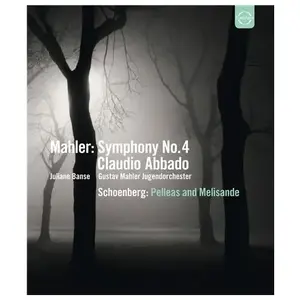 Euroarts Symphonie n.4 - Pelleas et Melisande - Blu-Ray pas cher