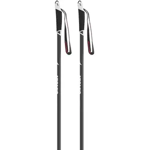 Comparateur de prix : Atomic Bâtons Savor