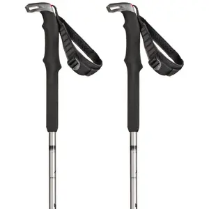 Atomic BCT Touring SQS Poles Mixte Adulte, Silver/Grey, Taille Unique