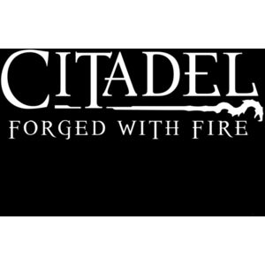 Solution2GO Jeu PS4 - Solutions2go - Citadel Forged with Fire - Blu-Ray - Éditeur Solutions2go pas cher