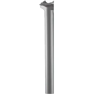 Cannondale Downlow 170 Mm Dropper Zadelpen Zilver 310-480 mm / 31.6 mm pas cher