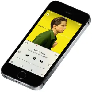 Apple iPhone SE 16 Go Gris pas cher