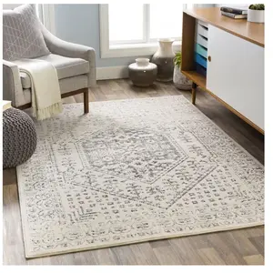 SURYA Tapis de Salon à Poils Courts Doux Vintage Oriental CALIX 160x220cm Beige/GrisVendu parcdiscount