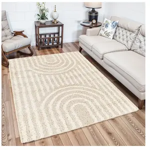 SURYA Tapis de Salon à Poils Longs Doux Shaggy Moderne CHRISTINA 160x2... pas cher
