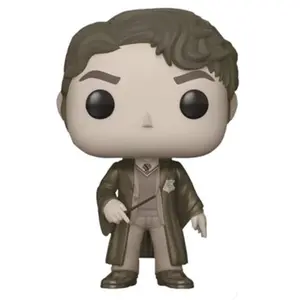 Comparateur de prix : Funko Figurine Funko Pop - Tom Riddle (B Et W) - Harry Potter (60) - P...