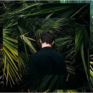 Lex Records Wash pas cher