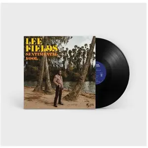 Daptone Records Sentimental Fool pas cher