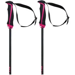 Volkl Bâtons PhantastickVendu parsnowinn