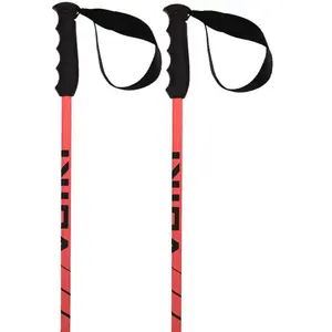 Volkl Bâtons Speedstick