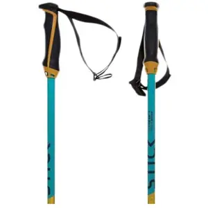 Comparateur de prix : Volkl Bâtons Junior Phantastick