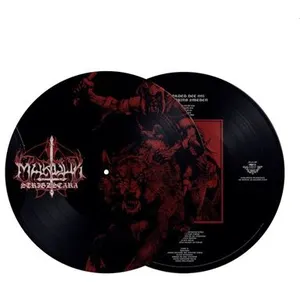 IMPORT Strigzscara Warlof Live 1993 Édition Limitée Picture Disc pas cher