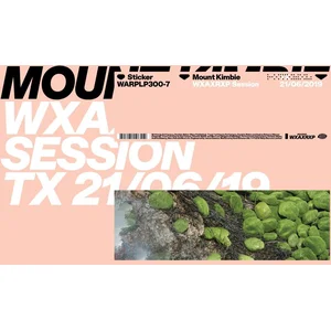 Disques vinyles populaires : Wxaxrxp Session pas cher