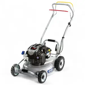 Tondeuse thermique tractée, moteur 163cm3 Briggs & Stratton, Mulching ...