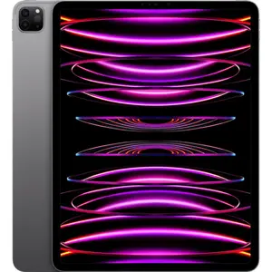 Refurbished iPad Pro (2022) 12,9 Pouces 256 Go Wifi Gris Sidéral Recon... pas cher