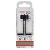 Image de Bosch Accessories 1 x Mèches à façonner à mise rapportée en carbure (Ø 25 mm, accessoires perforateurs)