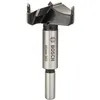 Image de Bosch Accessories - 1 x Mèches à façonner à mise rapportée en carbure (Ã  45 mm, accessoires perforateurs)